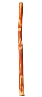Gloss Finish Bloodwood Didgeridoo (TW1527)
